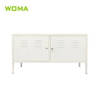 TV-kast staal